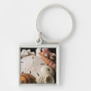 Recherche de larve porteclés Détail