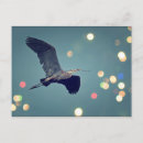 Recherche de heron cartes postales Grand héron bleu