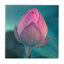 Recherche de fleur de lotus carreaux Botanique