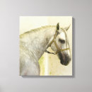 Recherche de espagnol impressions sur toile Cheval