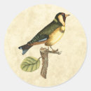 Recherche de oiseaux sur une branche autocollants Petit oiseau