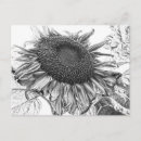 Recherche de noir et gris cartes postales Pour elle