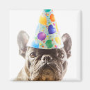 Recherche de canines magnets Animaux