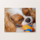 Recherche de cavalier puzzles Pet