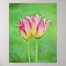 Recherche de tulipes art Jardin