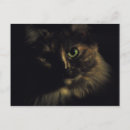 Recherche de yeux verts cartes postales Mignon