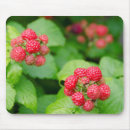Recherche de framboise tapis souris Flore