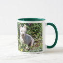 Recherche de de westie tasses Occidental