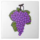 Recherche de raisins carreaux Violet