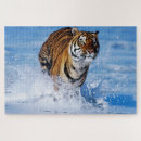 Recherche de tigre bengale puzzles Sauvage