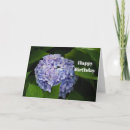 Recherche de hydrangea anniversaire cartes Floral