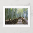 Recherche de bambou cartes postales Calme