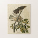 Recherche de hawk puzzles Oiseau