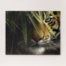 Recherche de tiger puzzles Zoo