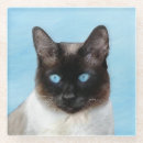 Recherche de chat siamois dessous de verres Chaton