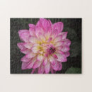 Recherche de dahlia puzzles Rose