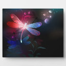 Recherche de libellules plaques Papillon