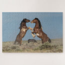 Recherche de étalon puzzles Ranch