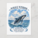 Recherche de baleines cartes postales Vie marine