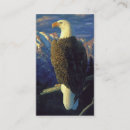 Recherche de oiseau de proie cartes visite Faune