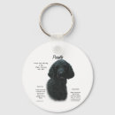 Recherche de caniche noir porteclés Dog