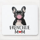 Recherche de éleveur tapis souris Chien