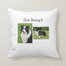Recherche de de border collie coussins Colley