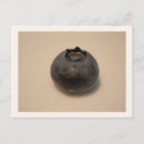 Recherche de myrtilles cartes postales Fruit