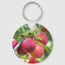 Recherche de prune porteclés Fruit