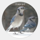 Recherche de tu me manque autocollants Oiseau