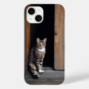 Recherche de félin iphone coques Tabby