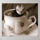 Recherche de bottes photographie Vintage