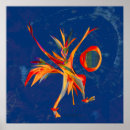 Recherche de astrophysique posters Stellaire