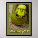 Recherche de money posters Economy