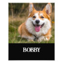 Recherche de mignon de chien art Vert