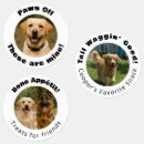 Recherche de de chien etiquettes Dogs