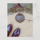 Recherche de cor cartes postales Plage