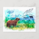 Recherche de kodiak alaska cartes postales Nature