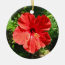 Recherche de hibiscus ornements Hawaïen