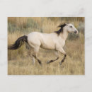 Recherche de galoper cartes postales Équin