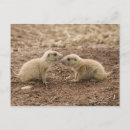 Recherche de côté sauvage posters Unité