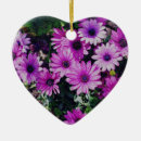 Recherche de violette africaine ornements Pour tous