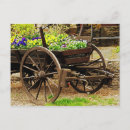Recherche de botanique antique cartes postales Beauté