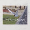 Recherche de oiseaux en vol cartes postales Plage