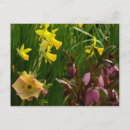 Recherche de lentille cartes postales Printemps