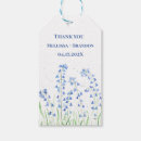 Recherche de jacinthe bleue Nature