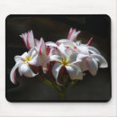 Recherche de plumeria tapis souris Hawaï
