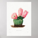 Recherche de dessin de cactus posters Pour elle