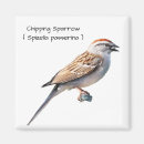 Recherche de moineau magnets Jardin