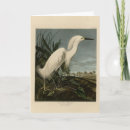 Recherche de oiseaux dans la neige vœux cartes Héron